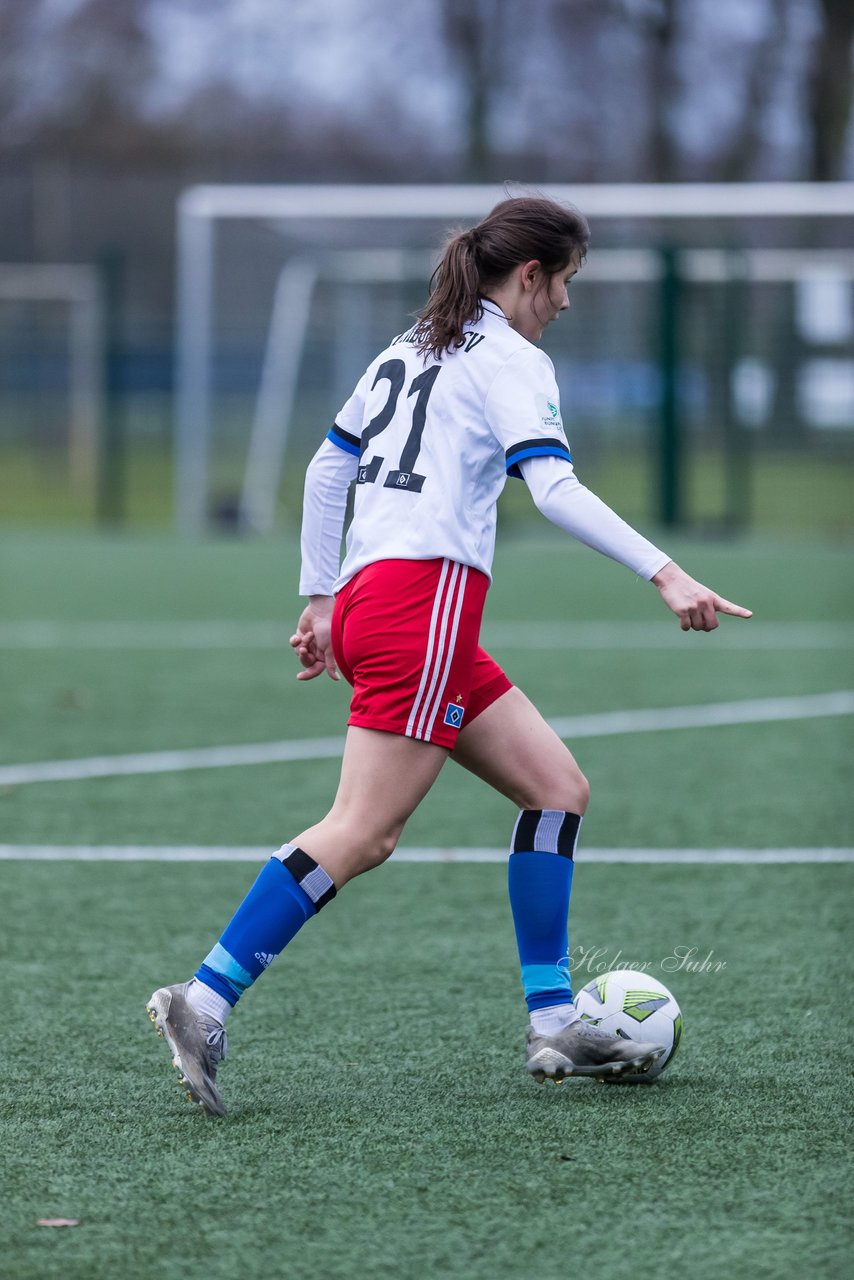 Bild 138 - wBJ HSV - F VfL Jesteburg : Ergebnis: 6:1